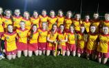 GAA - The Harps claim Laois U-16 Shield title over Portlaoise