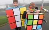 PICTURES: Scoil Mhuire Abbeyleix go all out for Halloween