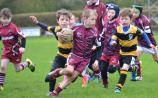 Portarlington RFC minis showcase club's youth development in blitz with Newbridge