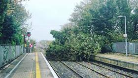 GALLERY: Pictures of Ophelia damage around Laois