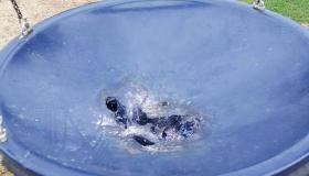 PICTURES: Outrage in Laois town as public park is vandalised