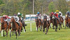 THE PUNTER'S EYE: Four horses worth a bet this weekend