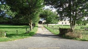 Two farms for sale in Portarlington and Tullamore