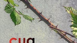 History and social conscience with cua at the Dunamaise