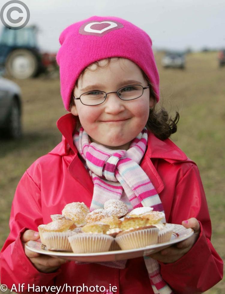 Cakes at Ballylinan ploughing