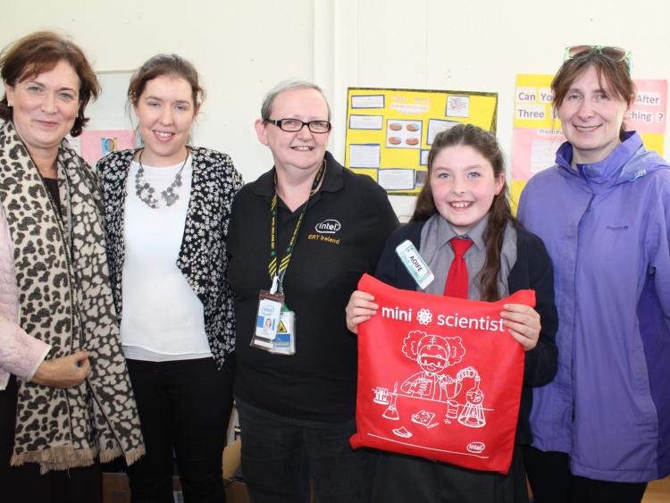 Timahoe's 2016 young scientist