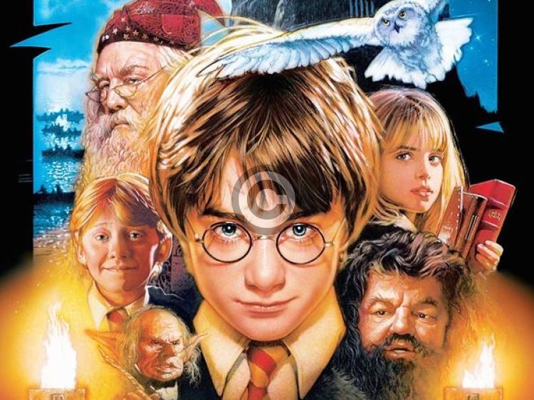 Harry Potter's 20th anniversary to be magically celebrated at a Laois library