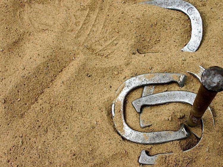 Gouleyduff club hosts Horseshoe Pitching Championships in Athy