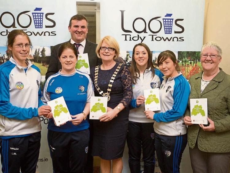 Laois litter crisis epidemic a plague on our society