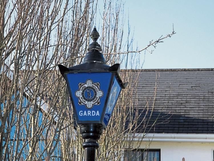 Lack of Garda&iacute; a top worry
