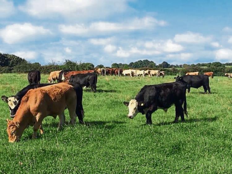 Farm income crisis for Laois IFA meeting