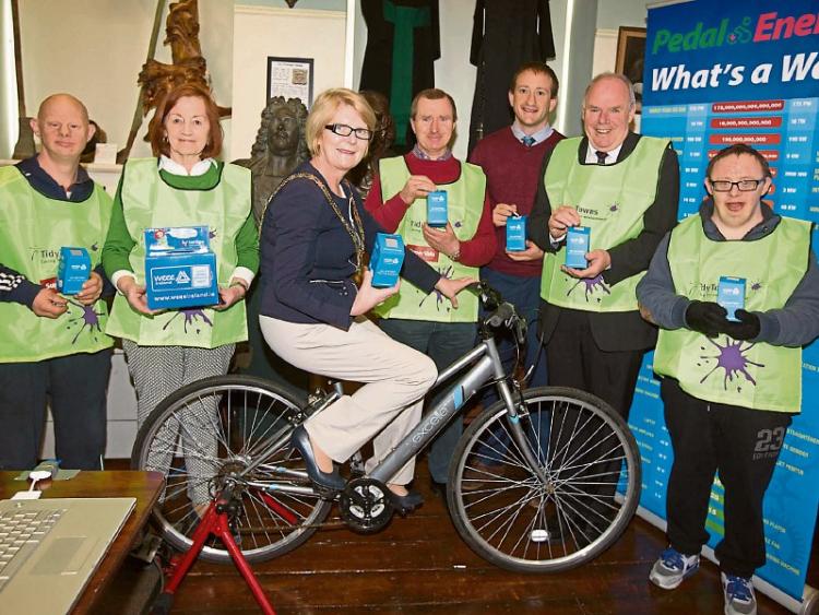 Abbeyleix Tidy Towns gold medalists gives thanks for 'tremendous help'