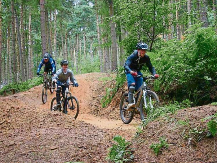 Laois on track to boost tourism with Slieve Bloom cycle trail
