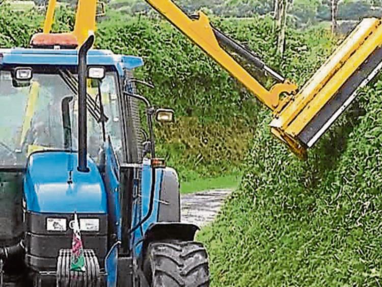 Bridges and hedges on the agenda of Cllr Ben Brennan