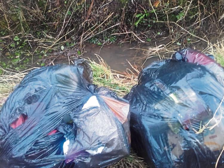 Rubbish strewn road 'disgusting'