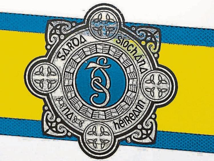Garda&iacute; seize caravan in Portlaoise as suspected stolen property