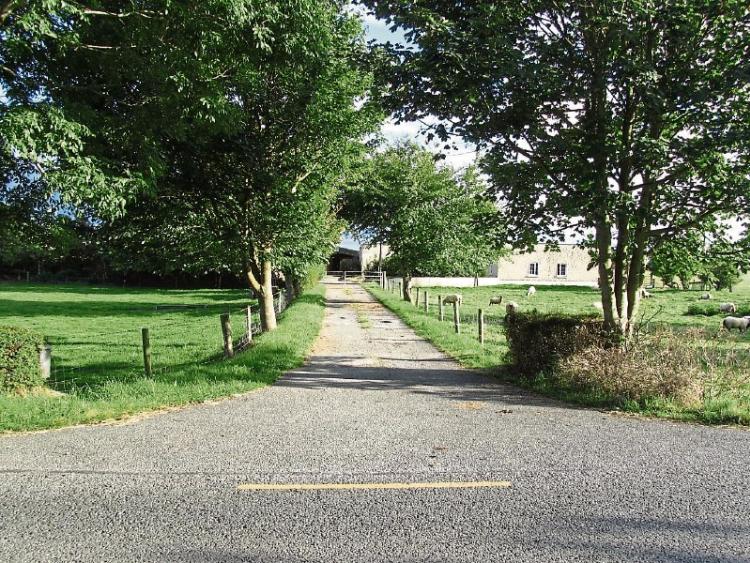 Two farms for sale in Portarlington and Tullamore