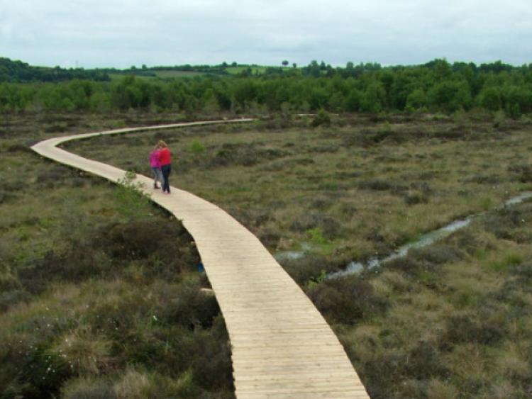 Abbeyleix Bog Walk