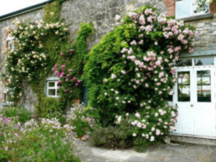 Fruitlawn Gardens in Abbeyleix