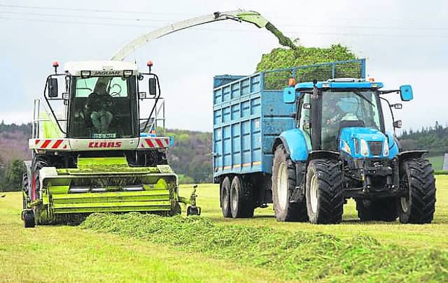 Picture of silage cutting for illustration purposes