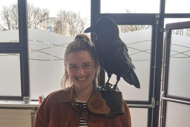 Look 'hoo' dropped in! Delight in Laois as 'TV star' visits Portlaoise ...