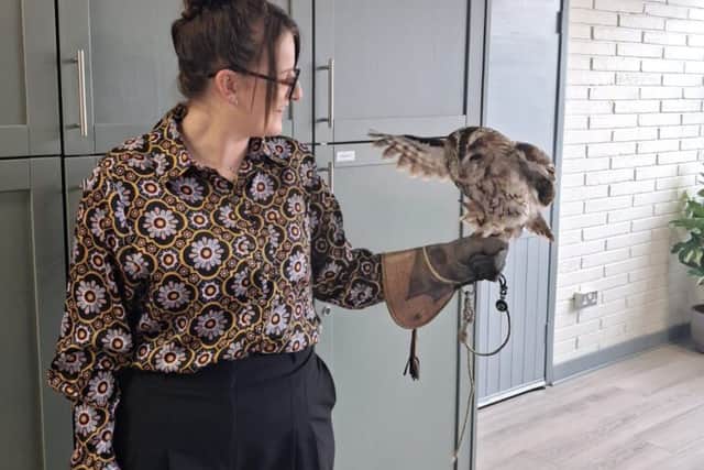 Look 'hoo' dropped in! Delight in Laois as 'TV star' visits Portlaoise ...