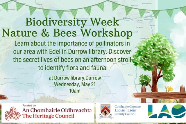 Guide: Dozens of fun events for Laois Biodiversity Week