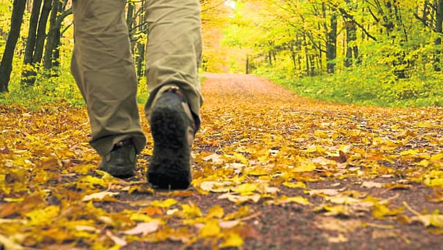 The numbers of adults walking for recreation have increased throughout the crisis