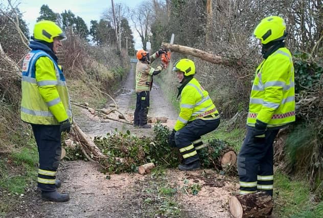 Storm Éowyn clean up in Laois.