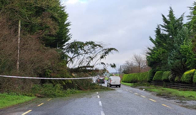 Storm Darragh damage on Dublin Road Portlaoise in December.