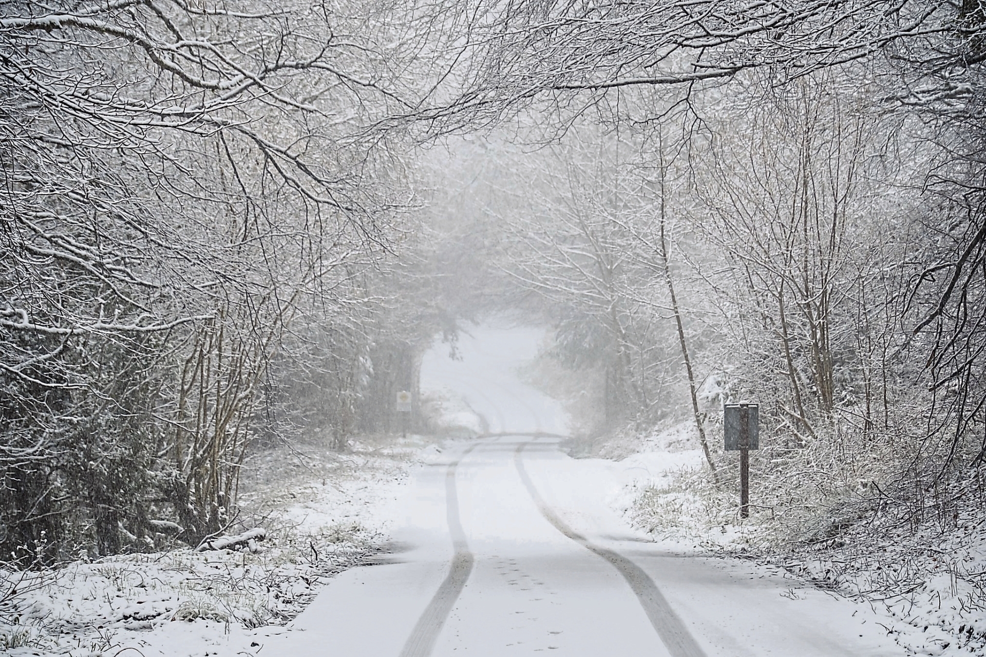 Snow in the Slieve Bloom Mountains during a previous snowfall. Photo: Paul Moore
