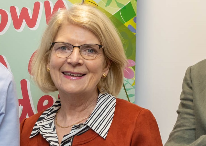 'Don't come crying to me' Laois councillor wants outright ban on walkways linking housing estates