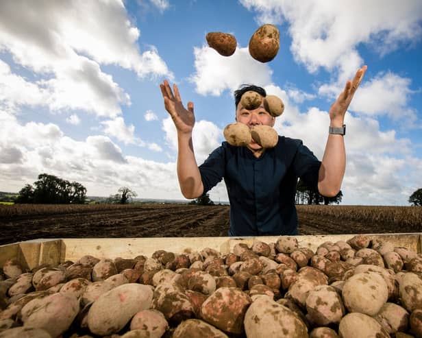 Almost 40 million Irish potatoes produced in last 12 months