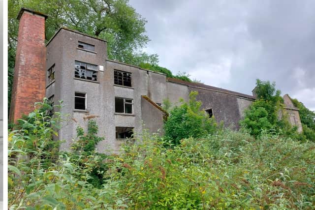 Doctor’s escape from Nazi Germany to find love in Laois factory