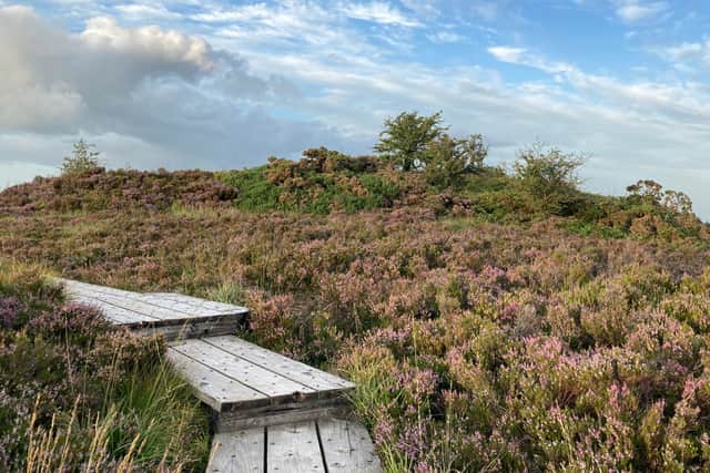 Also this weekend, the Slieve Bloom Walking Festival is offering seven guided walks of different paces and lengths, in beautiful locations throughout the county on woodland, mountain, bog, canal and road trails.
