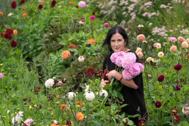 Cath Kidston joins elite of gardening gurus at new Laois garden festival
