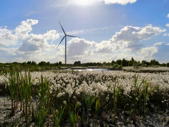 A turbine at the Bord na Mona wind farm in Mountlucas