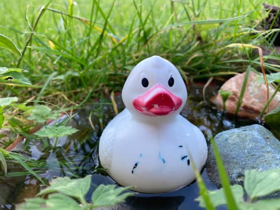 One lucky duck will win a 43" Smart TV in the Rock GAA's live online duckrace