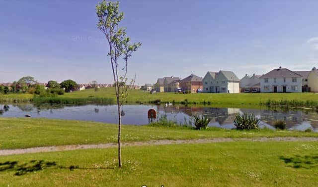The lake at Kilminchy estate in Portlaoise