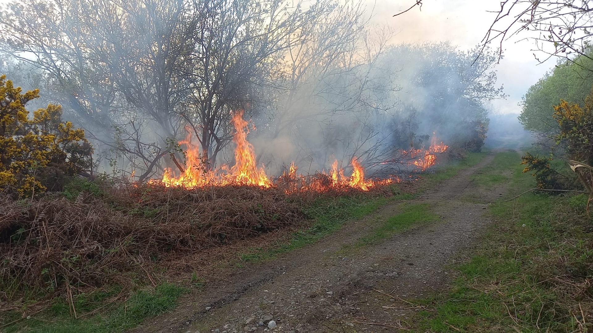 The bog in Forest, Mountmellick on fire. Photo: Paul Lalor