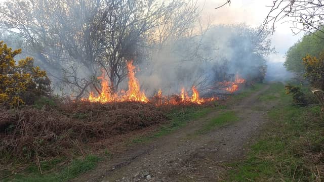 The bog in Forest, Mountmellick on fire. Photo: Paul Lalor