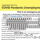 Covid-19 Pandemic Unemployment Payment form