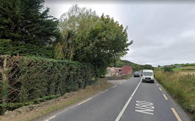 Trees and a tree stump set for removal on the N80 Portlaoise Stradbally road. Image: Google Maps