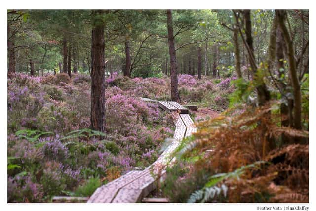 Past editions of the calendar proved very popular and sell out annually.