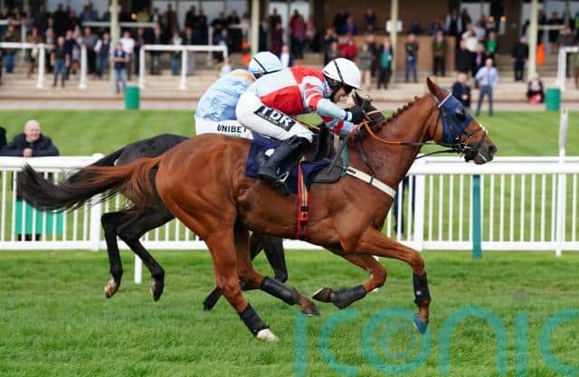 His comeback at Hereford on Tuesday saw him take three rides for three different trainers, with Ian William’s Ernesto supplying the victory when winning the Black Mountain Botanicals Handicap Hurdle at 11-4.