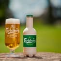 Beer giant Carlsberg is set to conduct its biggest trial in a bid to launch its fibre beer bottle across Europe.