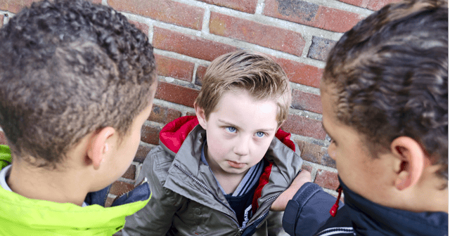 A nationwide survey of bullying in first and second level schools conducted by Trinity College Dublin estimates that some 31% of primary and 16% of secondary students have been bullied at some time