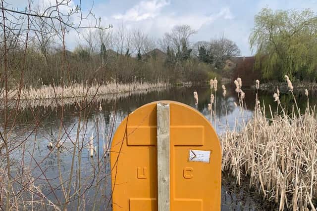 "I realised that the lifebuoy is facing the opposite way. I walked over to the lake edge to see how it could be used if someone was in difficulty. You can't retrieve it only by getting into the water yourself. It's like one sinking ship helping another," she said.