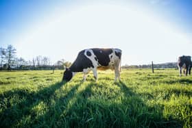22 projects in the dairy and meat sectors across the country are to receive funding from the Government’s Capital Investment Scheme.