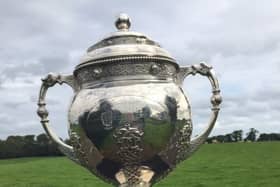 The Counties cup trophy that Towerhil Rovers will be aiming to win for the first time